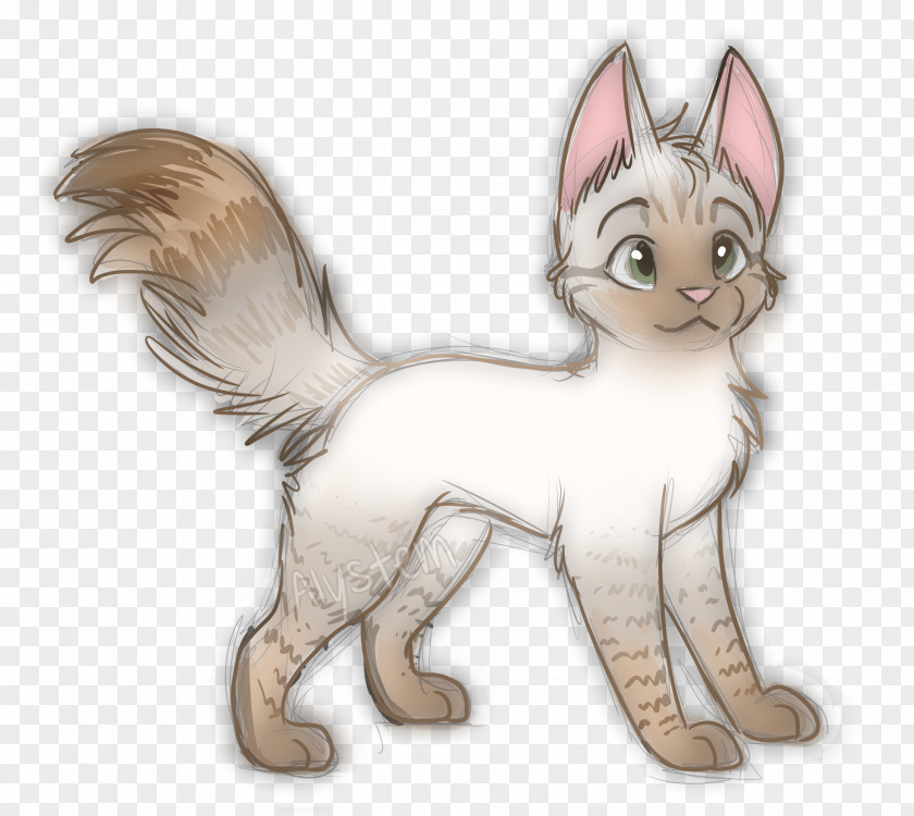 Kitten Whiskers Cat Canidae Dog PNG