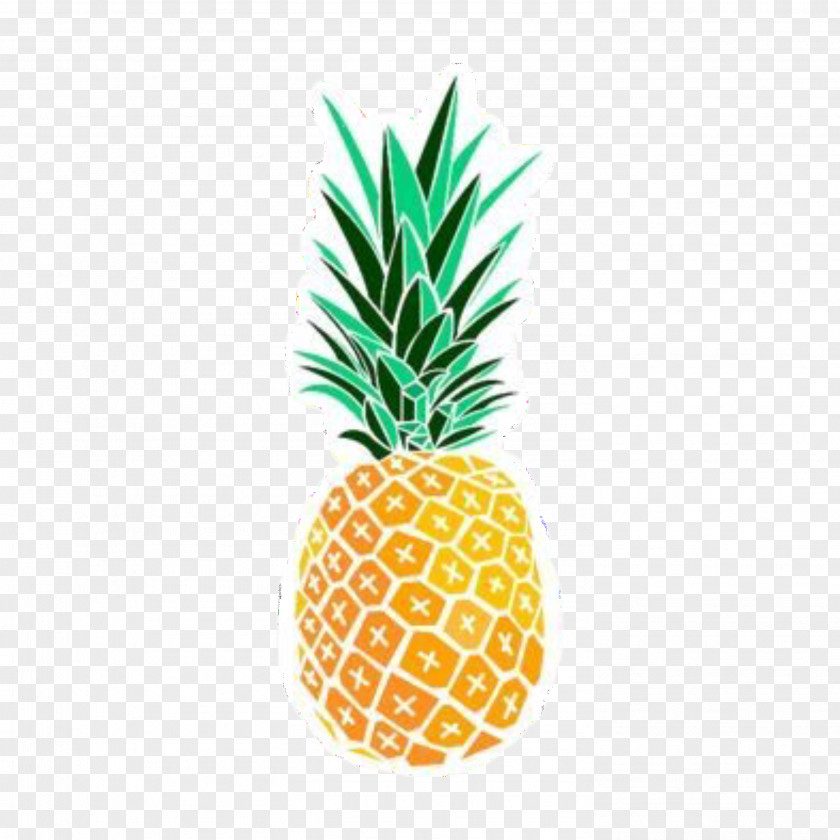 Pineapple Apple IPhone 7 Plus X 6 4S 6s PNG