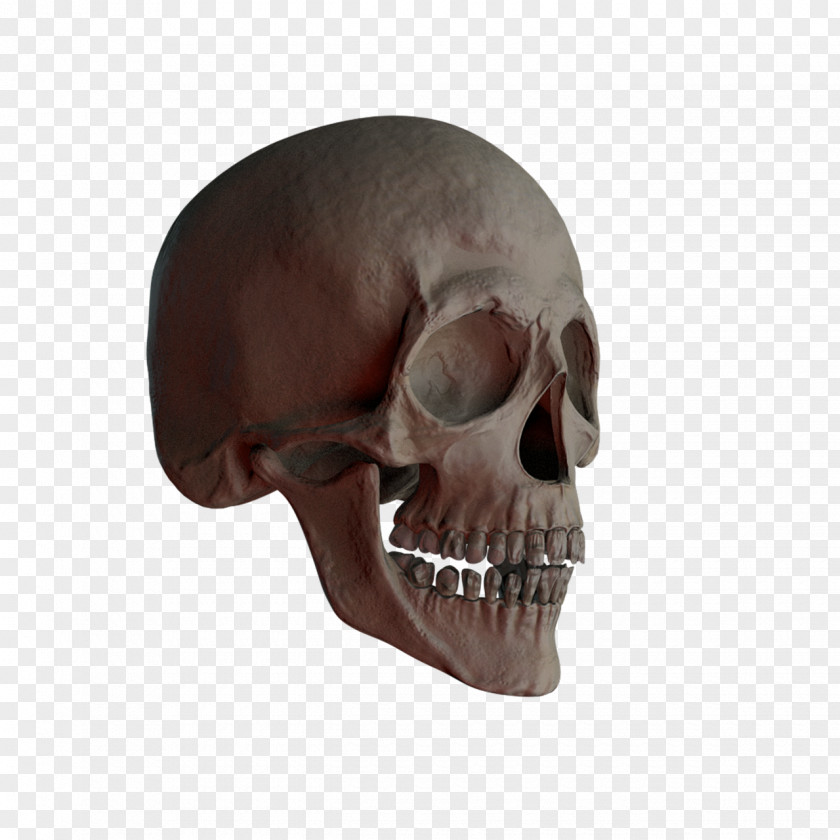 Skulls Skull And Crossbones PNG