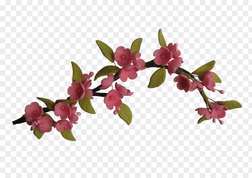 Sugar Paste Flower Moth Orchids Plant Stem PNG