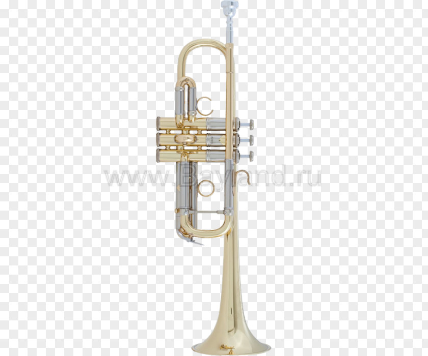 Trumpet Flugelhorn Vincent Bach Corporation C.G. Conn Cornet PNG