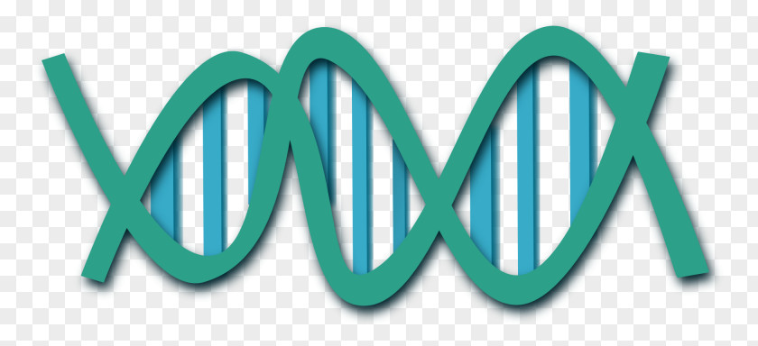 Vector DNA Nucleic Acid Double Helix Clip Art PNG