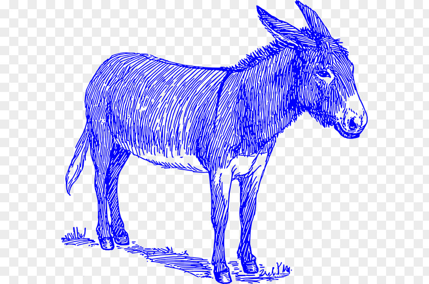 Donkey Mule Sketch Drawing Painting PNG
