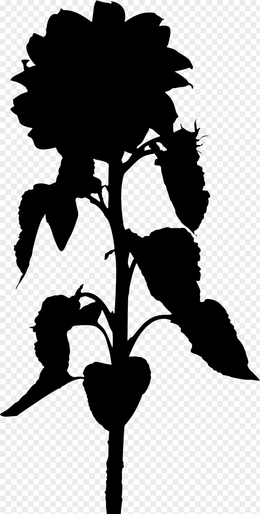 Flower Plant Stem Leaf Clip Art Silhouette PNG