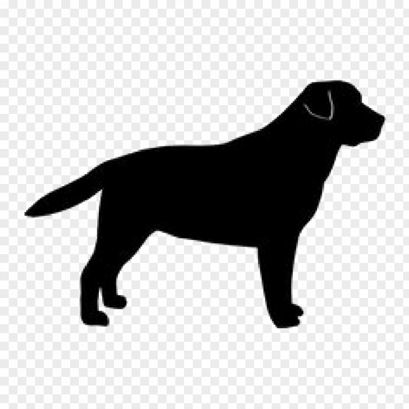 Golden Retriever Labrador Dog Breed Silhouette PNG