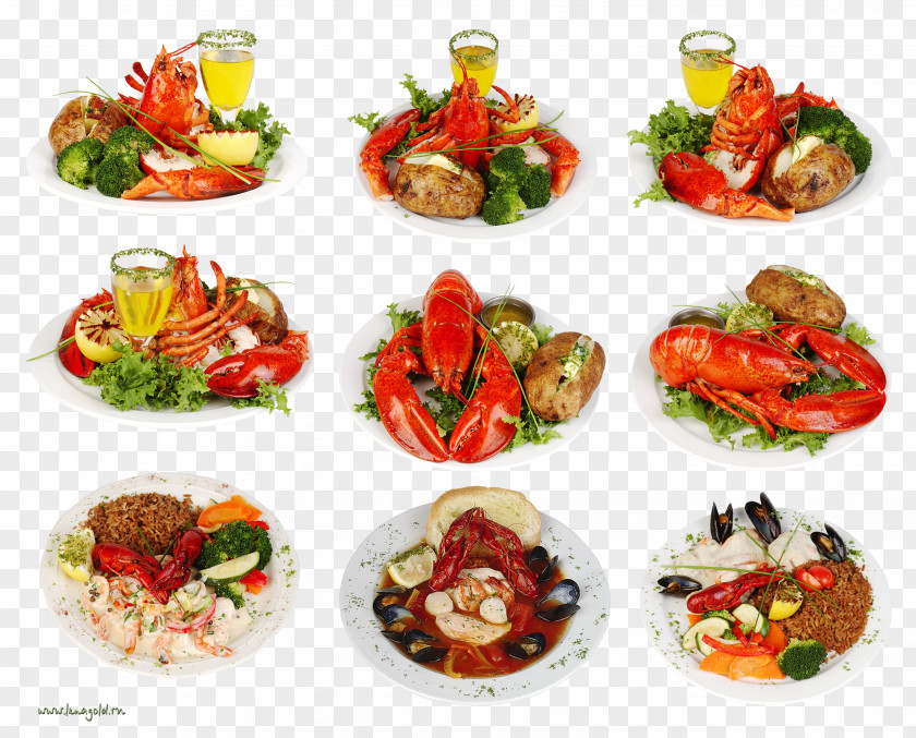 Lobster Beer Crayfish As Food Clip Art PNG