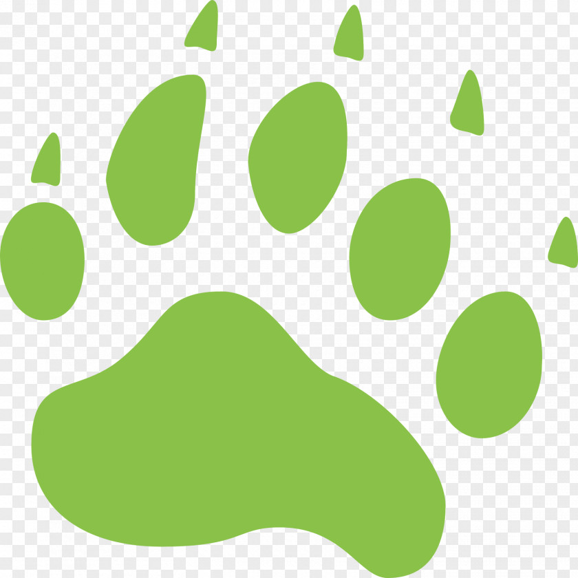 Pattern With Bear And Footprints Shapes American Black Paw PNG