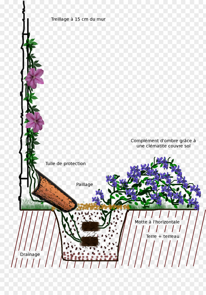 Plantation Leather Flower Trellis Garden PNG