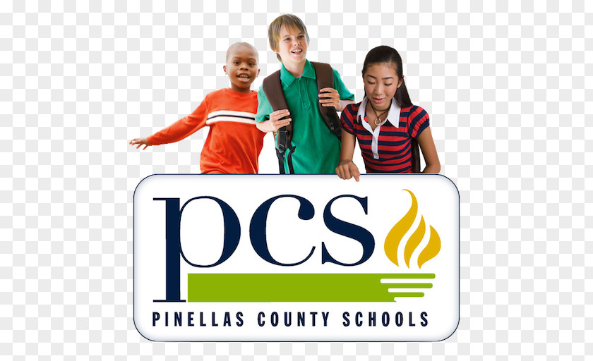 School Pinellas County Board Curlew Creek Elementary District Education PNG