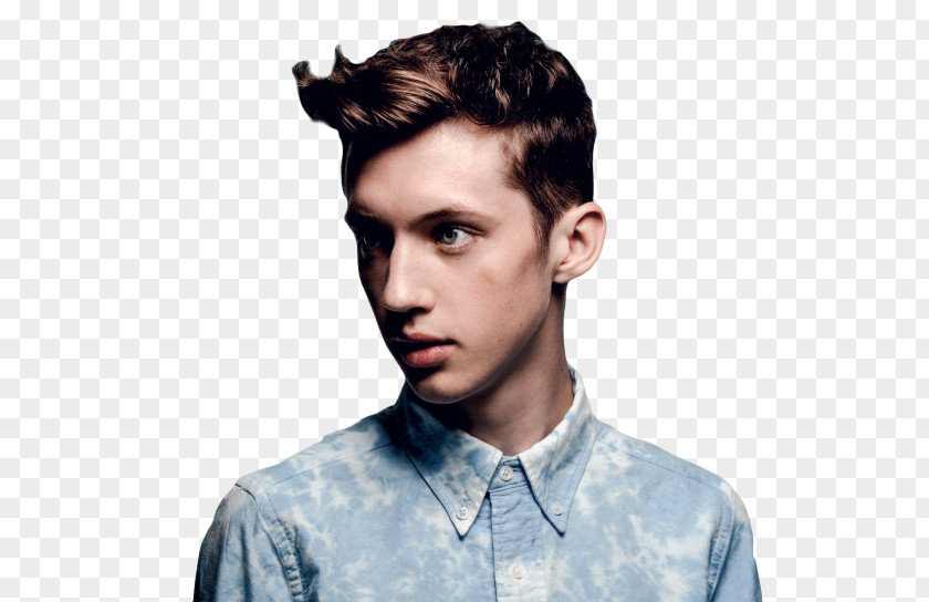 Troye Sivan Blue Neighbourhood 2016 Billboard Music Awards Bloom My My! PNG My!, others clipart PNG
