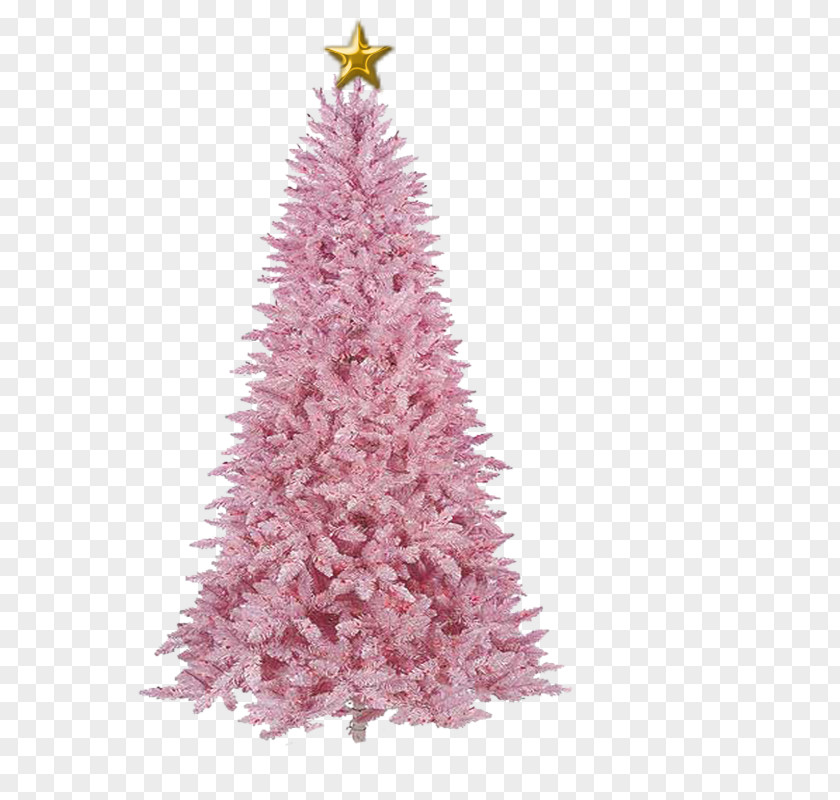 Christmas Artificial Tree Waste Recycling PNG