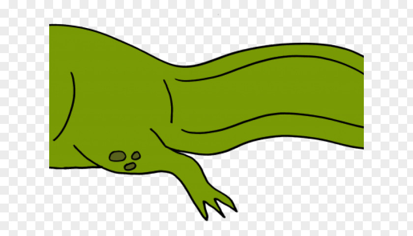 Crocodilia Alligator Cartoon PNG