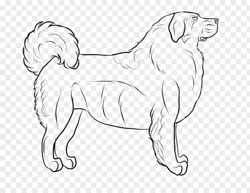 Dog Breed Line Art Drawing PNG