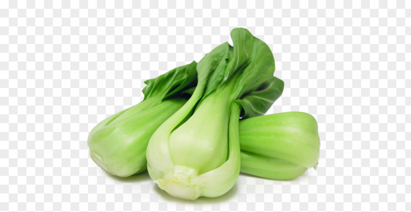 Fresh Cabbage Chinese Broccoli Napa Vegetable Bok Choy PNG