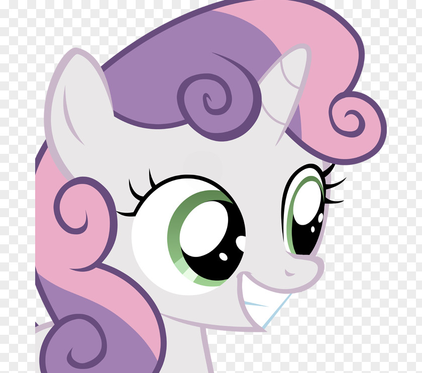 Grin Whiskers Cat Pony Horse Snout PNG