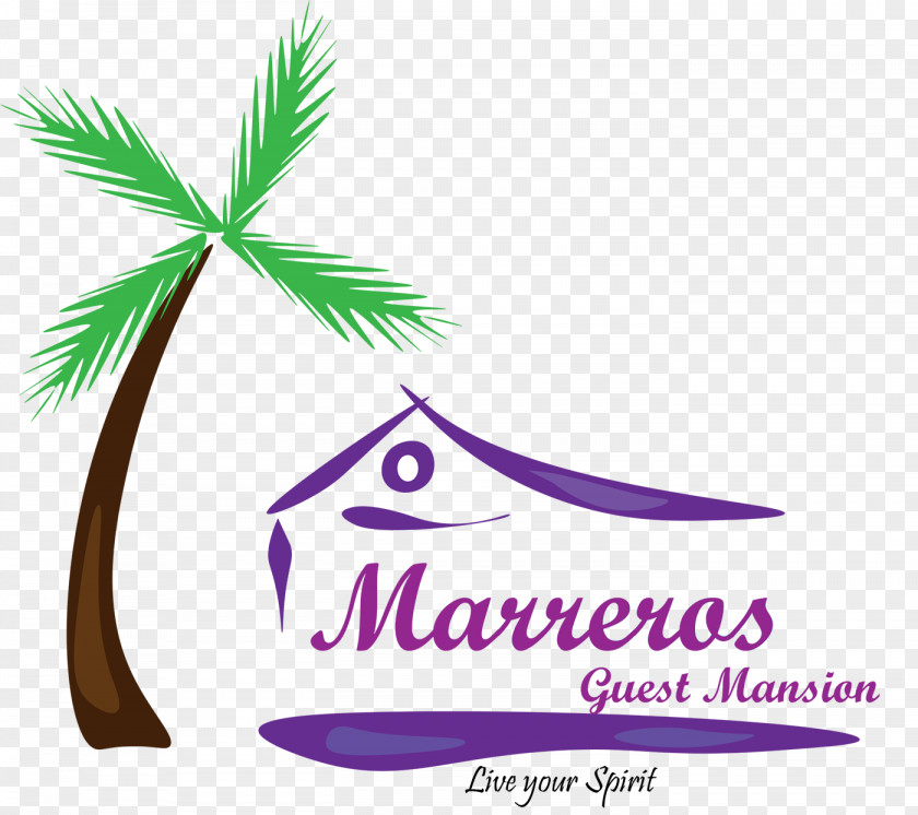 Hana Marrero's Guest Mansion Logo Palm Trees Brand Font PNG