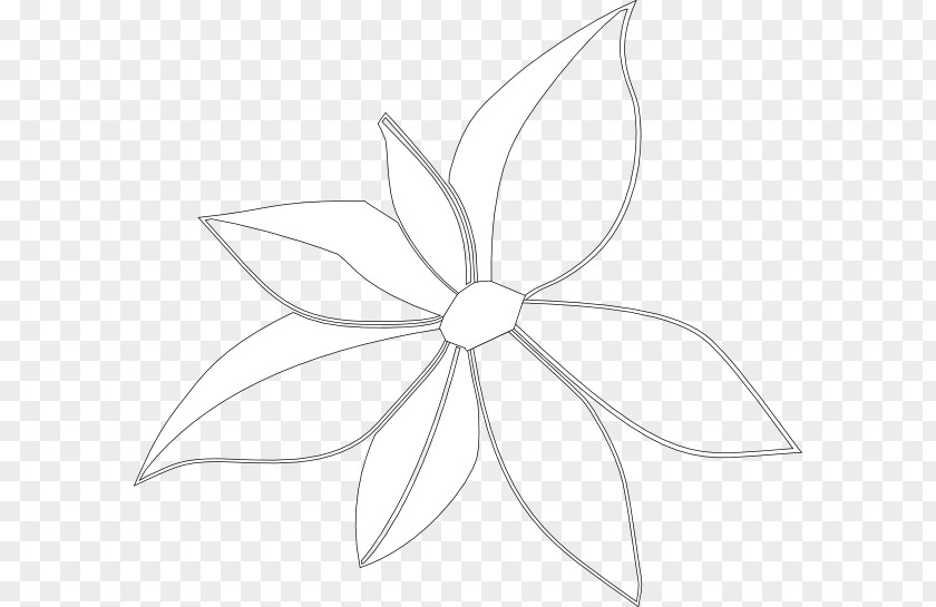 Hawaii Flower Drawing Line Art Clip PNG