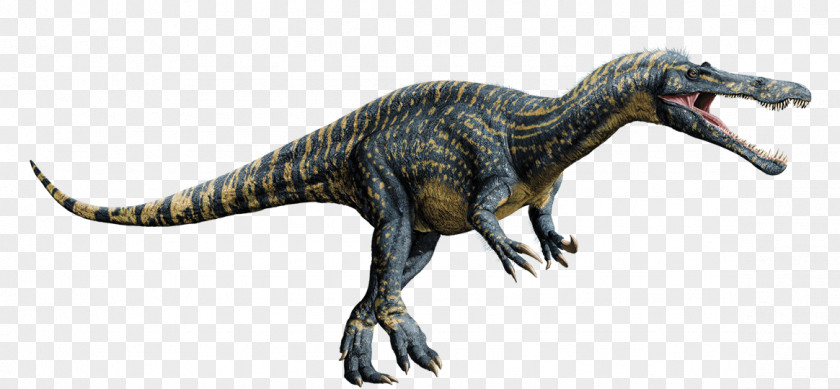 Jurassic Park Baryonyx Spinosaurus Suchomimus Tyrannosaurus Microceratus PNG