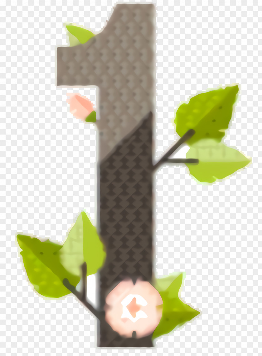 Plant Plants Tree Leaf PNG