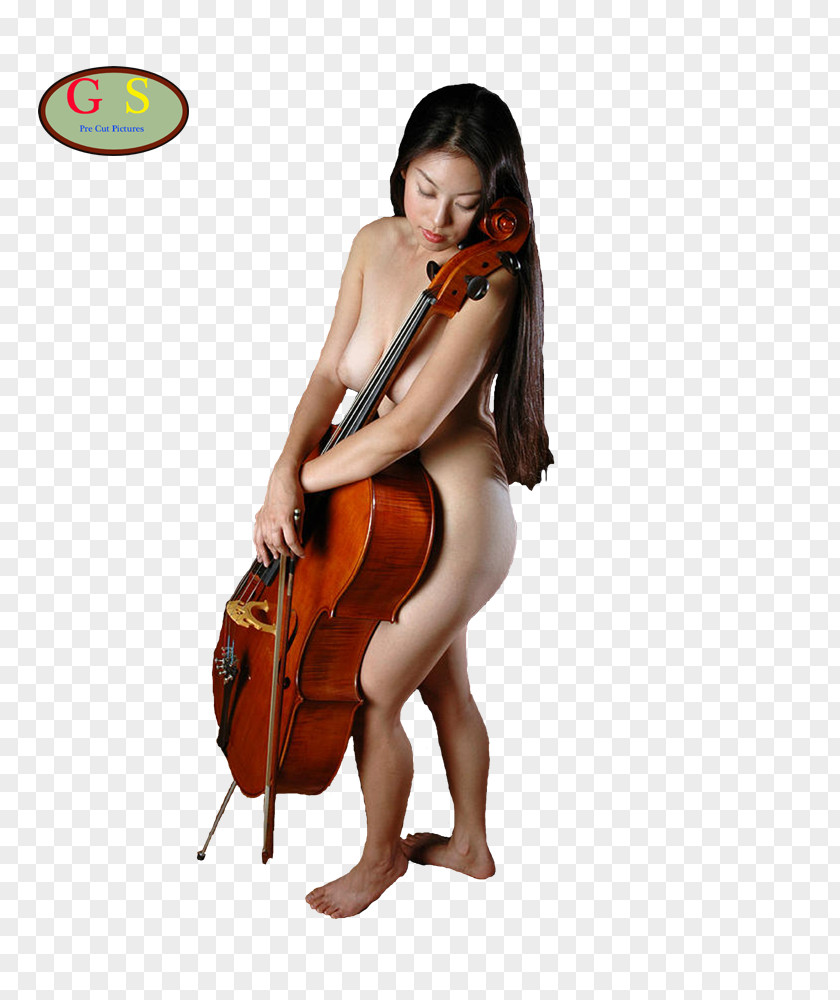 Violin Violone Cello Double Bass Viola PNG