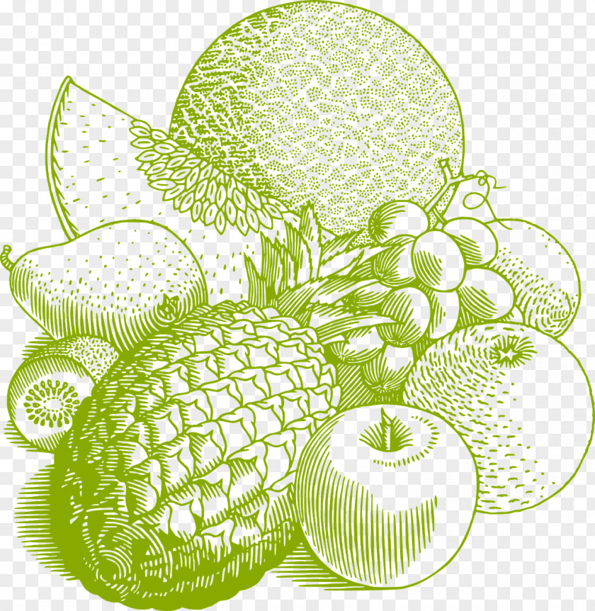 Cabbage Fruit Pineapple Cooking Bowl PNG