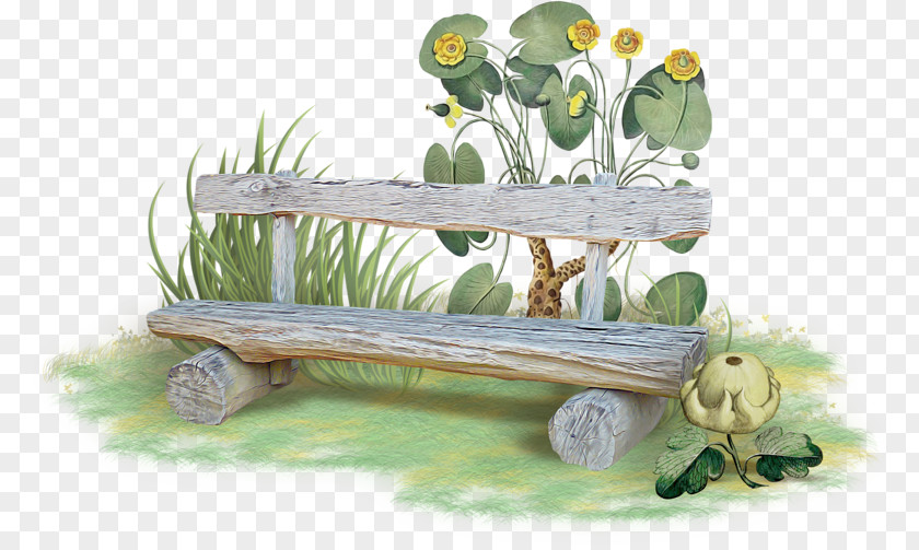 Chair On The Grass Table Bench Clip Art PNG