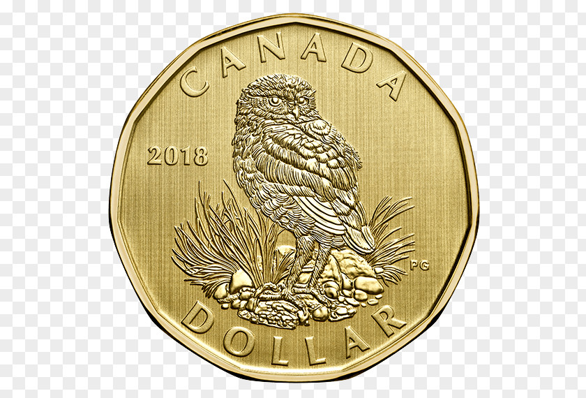 Coin Set Dollar Gold Royal Canadian Mint PNG