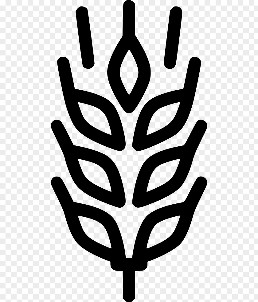 Symmetry Symbol Wheat Cartoon PNG