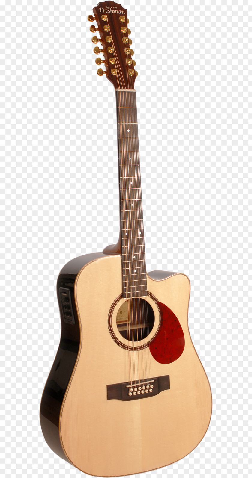 Twelvestring Guitar Cort Guitars Acoustic Twelve-string Acoustic-electric PNG