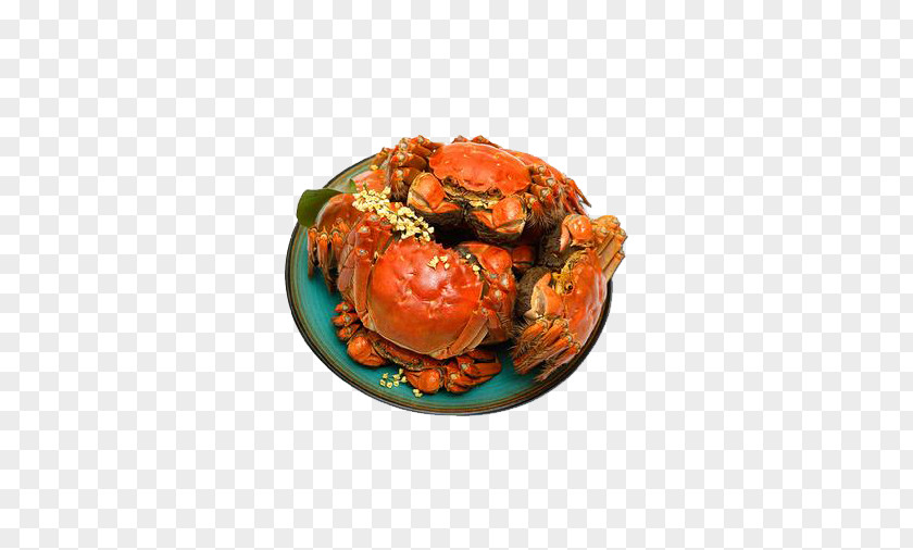 A Yangcheng Lake Hairy Crabs Large Crab Tai Chinese Mitten PNG