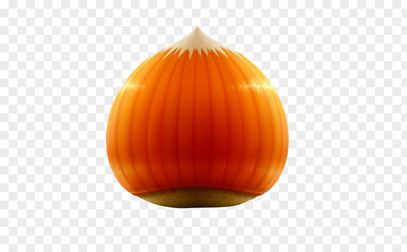 Large Onion Vegetable Pumpkin Lighting Hazelnut PNG