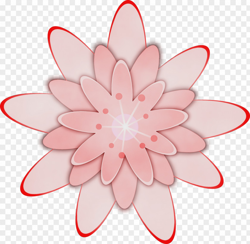 Symmetry Water Lily Rose PNG