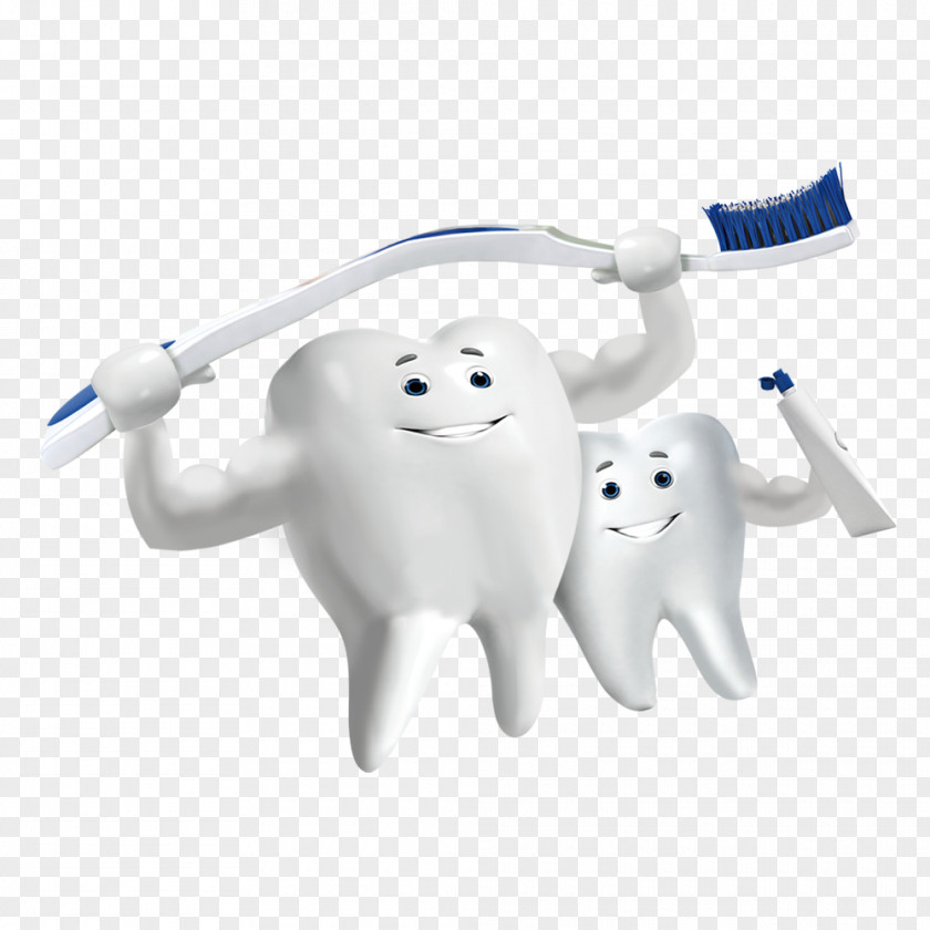 Teeth Holding A Toothbrush Tooth Whitening Brushing Dentistry PNG
