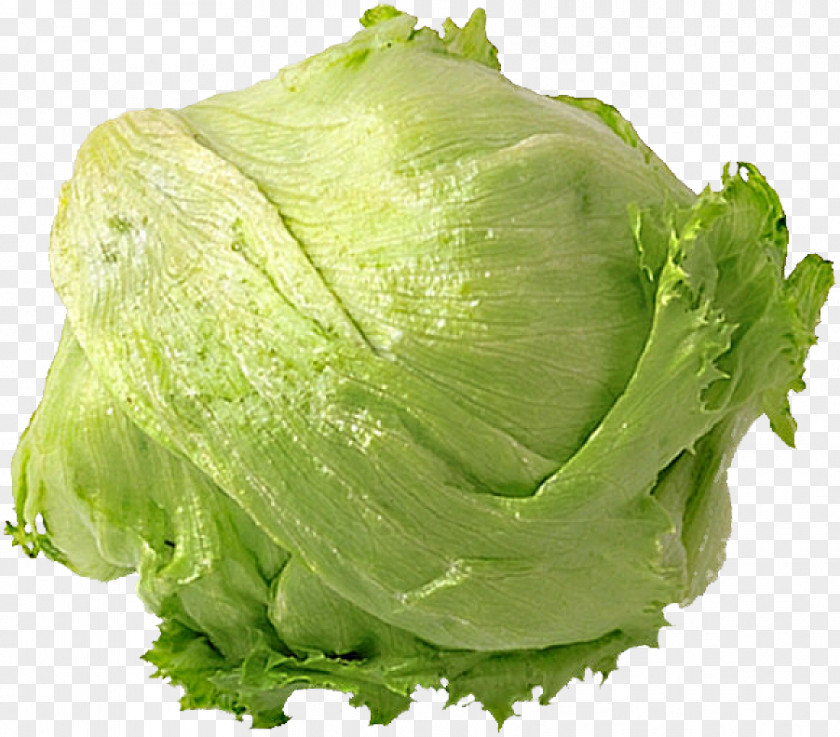 Vegetable Romaine Lettuce Mesclun Leaf Iceberg Cruciferous Vegetables PNG