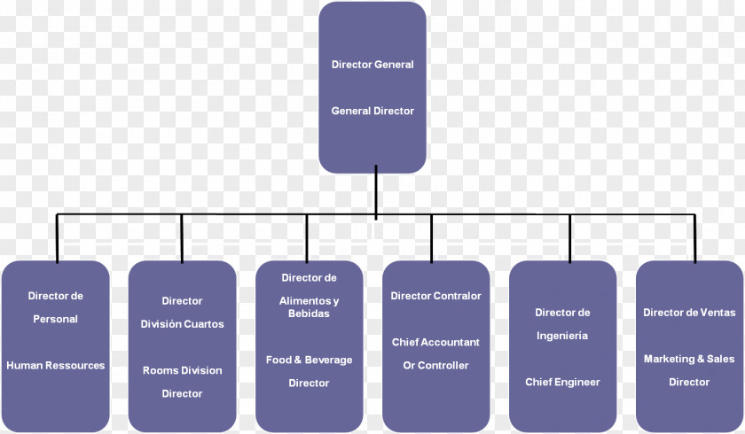 Hotel Organizational Chart Hospitality Industry Food PNG
