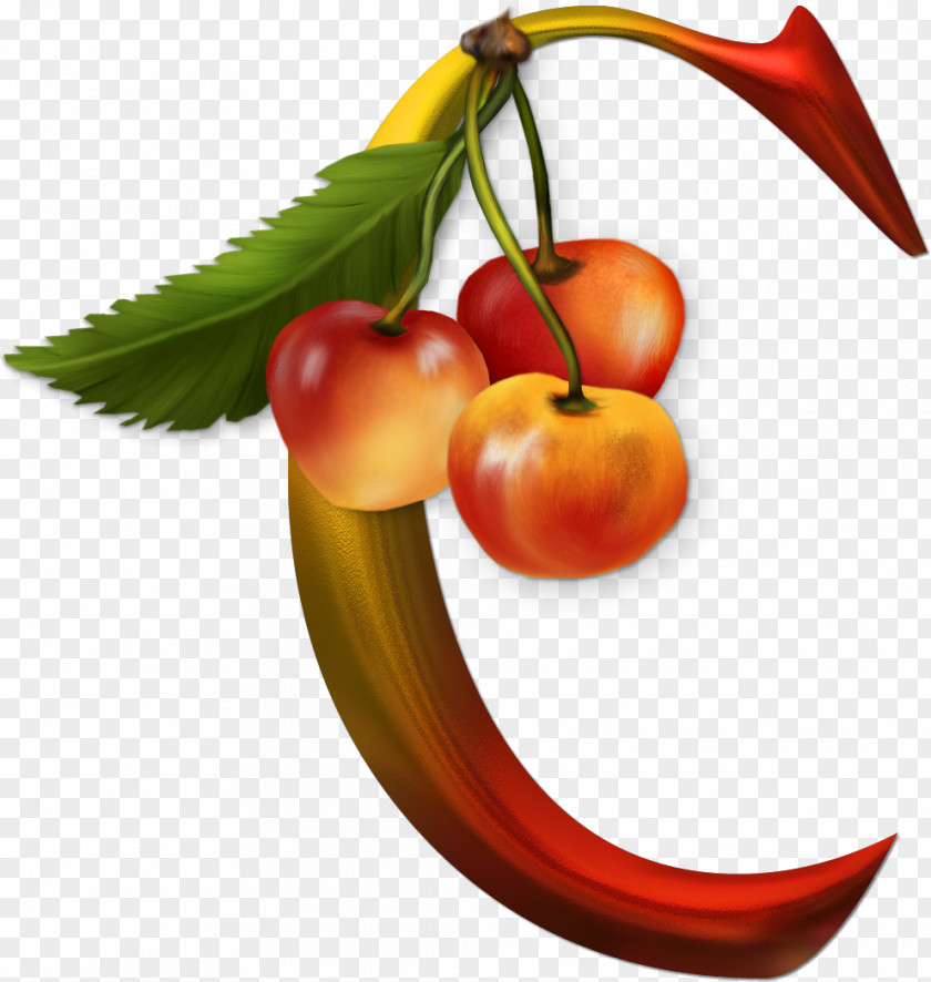 Ladin Alphabet Letter Fruit Vegetable PNG
