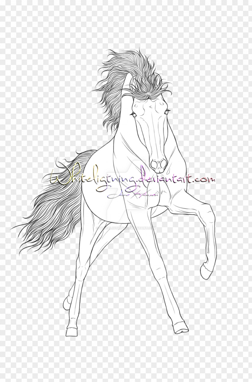 Mustang Mane Bridle Pack Animal Sketch PNG