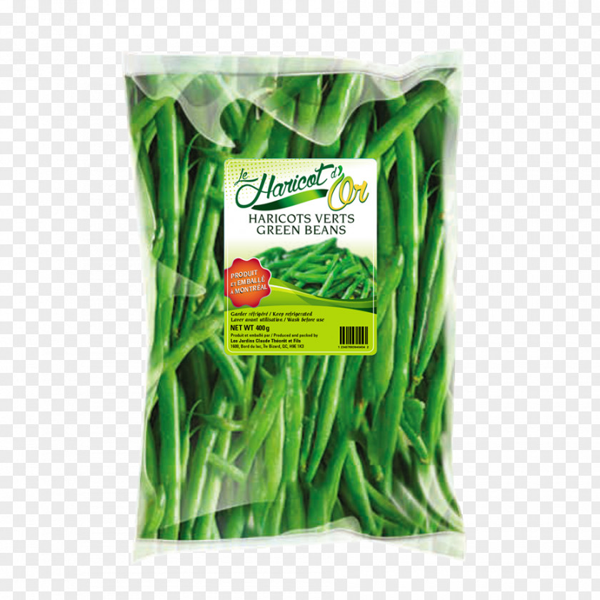 Photocopie Green Bean Commodity PNG