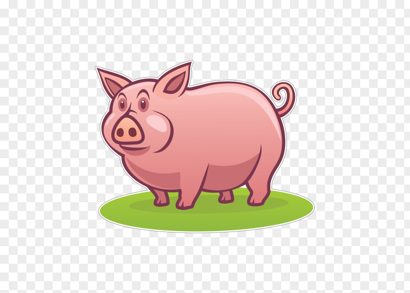 Pig Domestic Snout Clip Art PNG