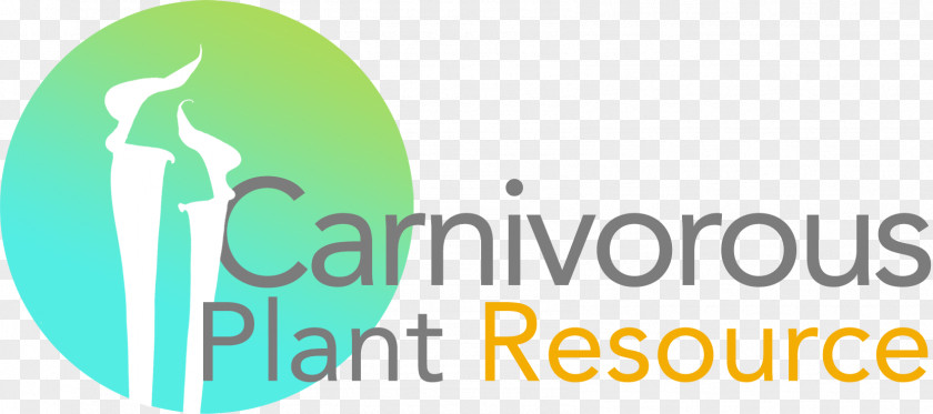 Plant Carnivorous Resource Byblis Drosera PNG