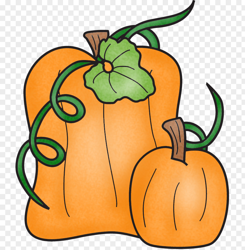 Pumpkin Patch Jack-o'-lantern Gourd Calabaza Clip Art PNG
