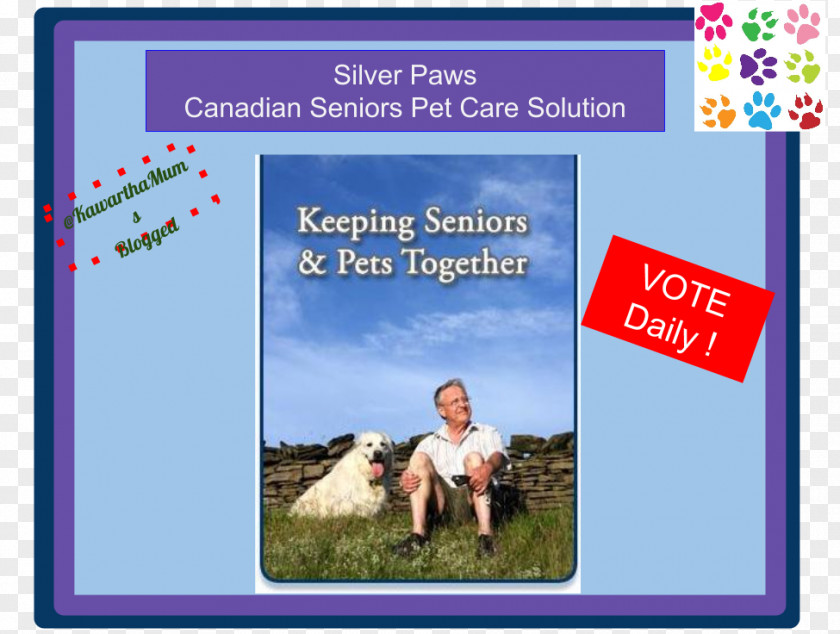 Senior Care Flyer Livestock PNG