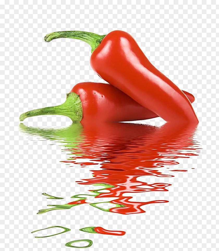 Chili PNG clipart PNG