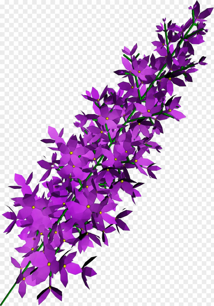 Dendrobium Flowering Plant Purple Flower Lilac Violet PNG