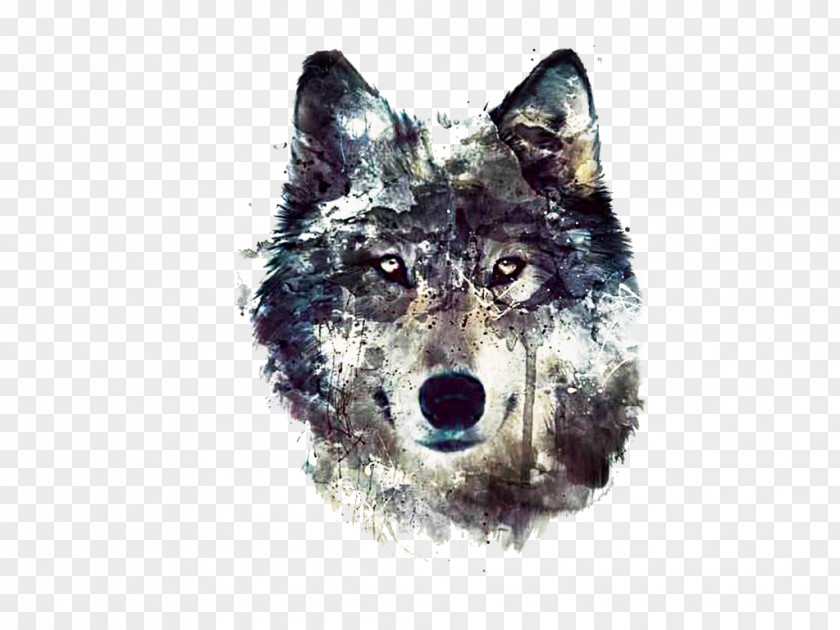 Dog Desktop Wallpaper The Wolf Image Pack PNG