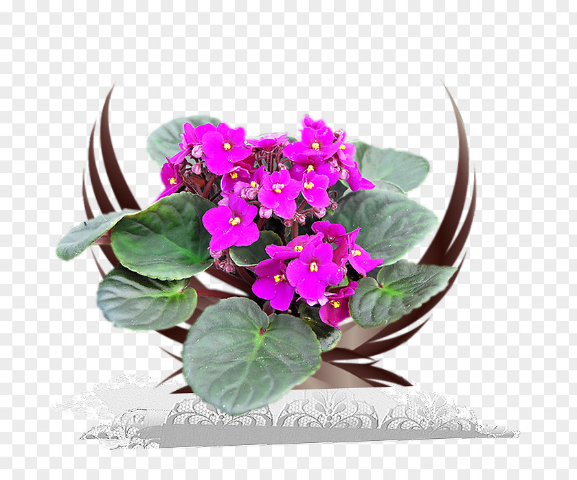 Flower Flowerpot Floral Design Postage Stamps Envelope PNG