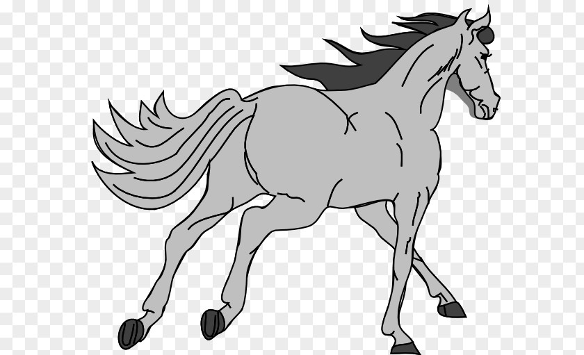 Gray Cliparts American Paint Horse Mustang White Clip Art PNG