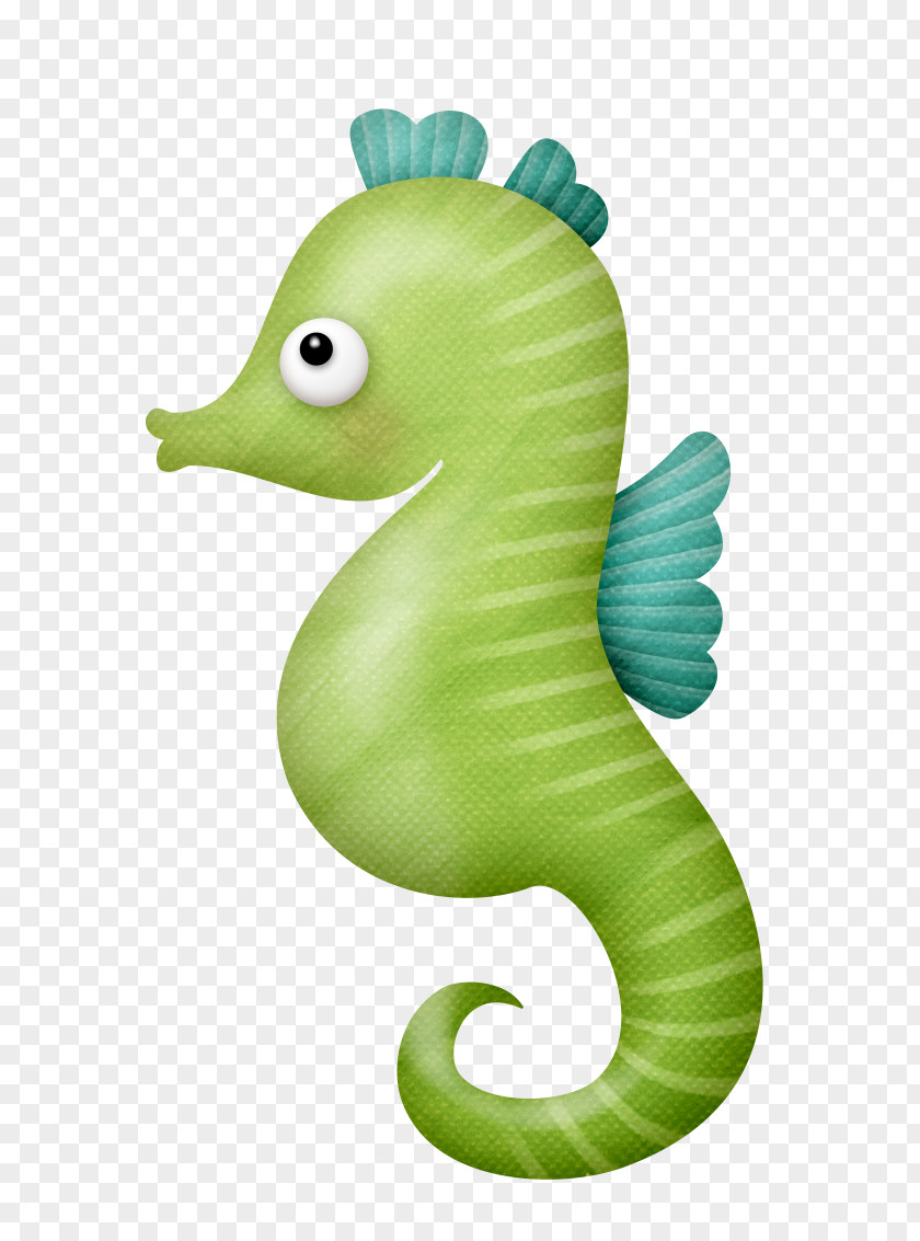 Seahorse Clip Art Image Drawing PNG