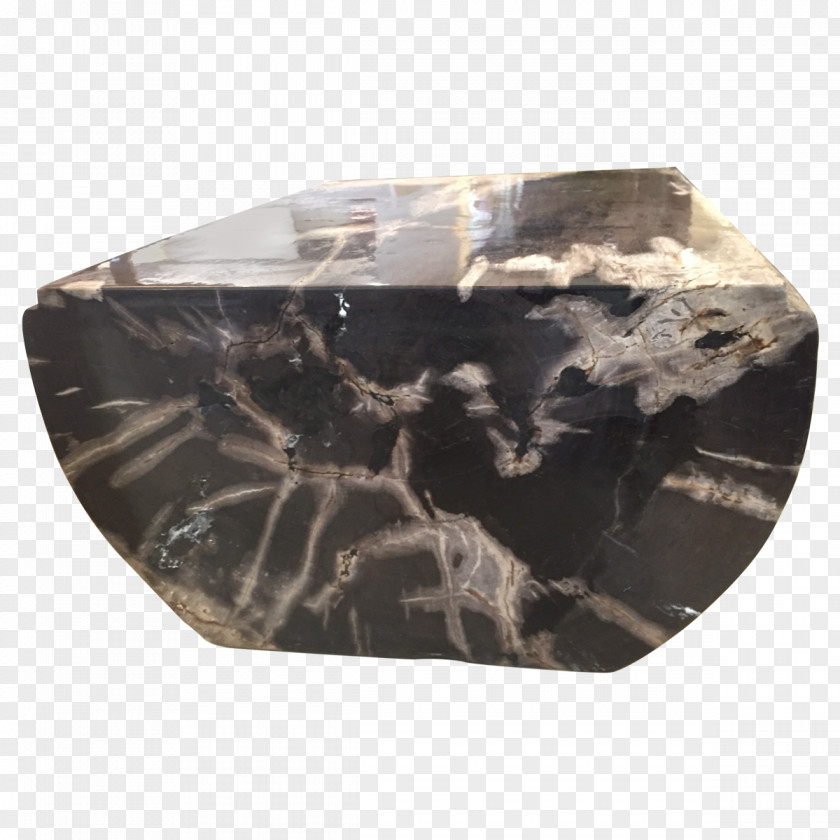 Table Coffee Tables Petrified Wood PNG