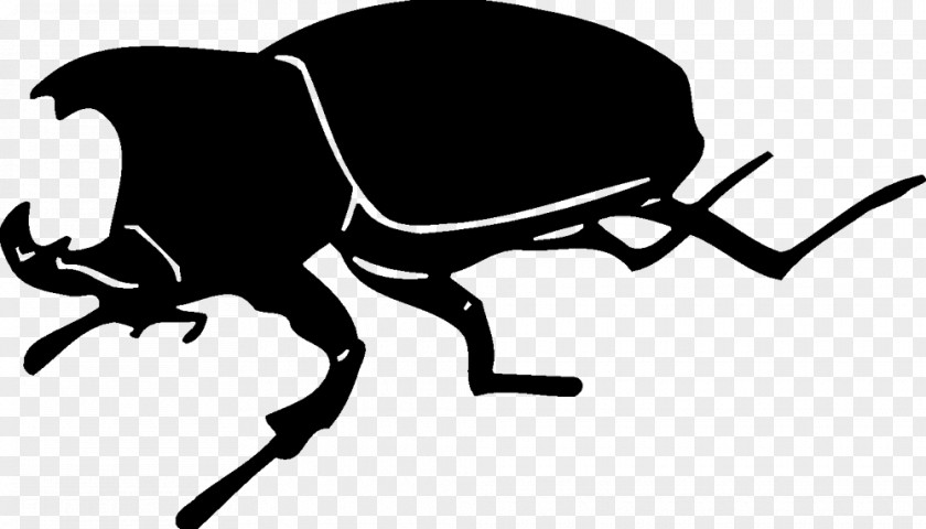 Beetle Silhouette Character Cartoon Clip Art PNG